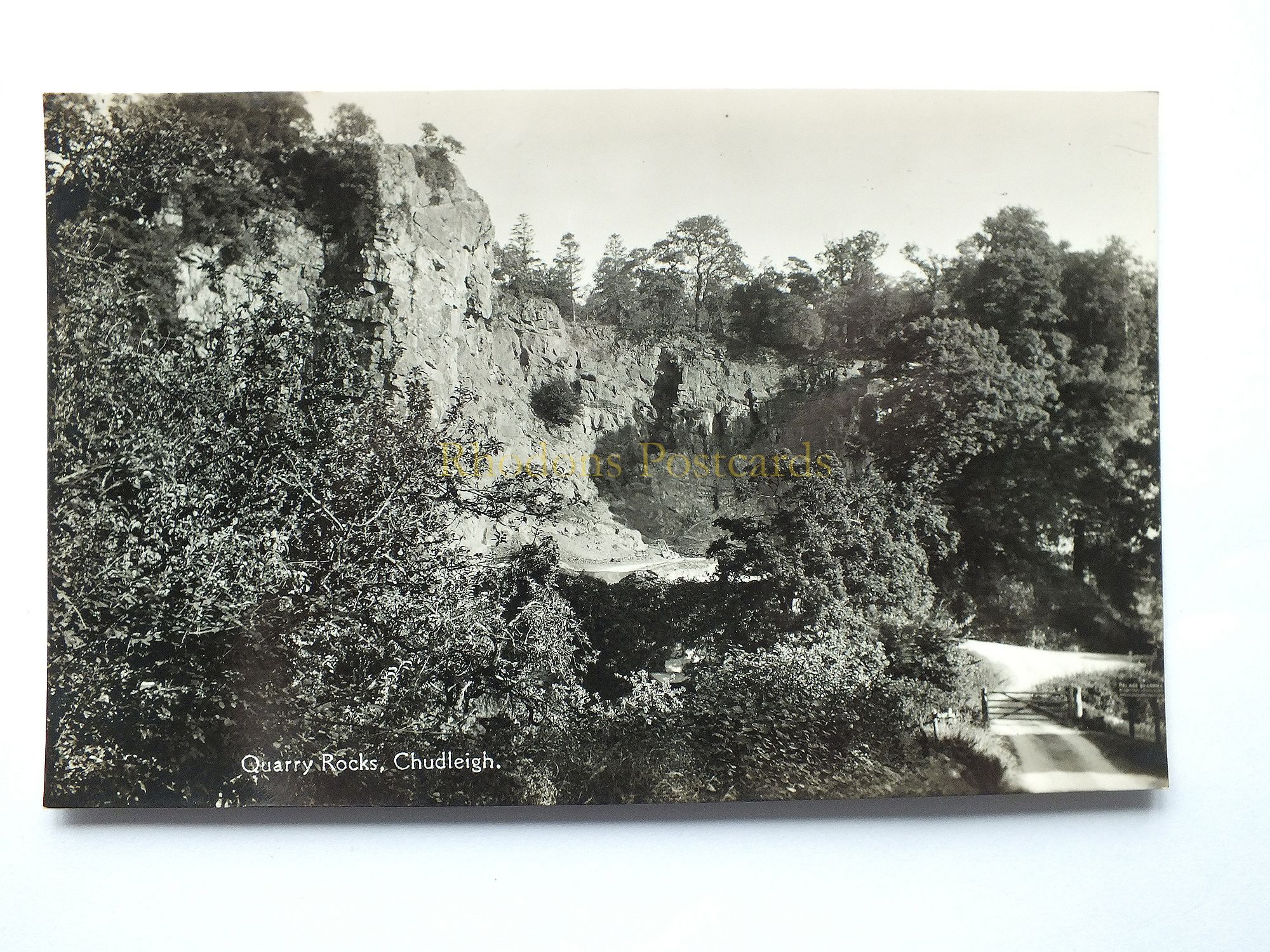 Devon Entrance To Chudleigh From Plymouth Circa 1950s Real Photo