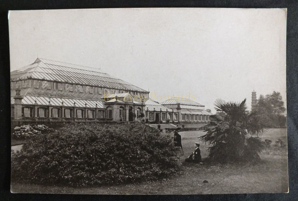 Kew Gardens - The Temperate House or Winter Garden - Gale & Polden NPU Postcard