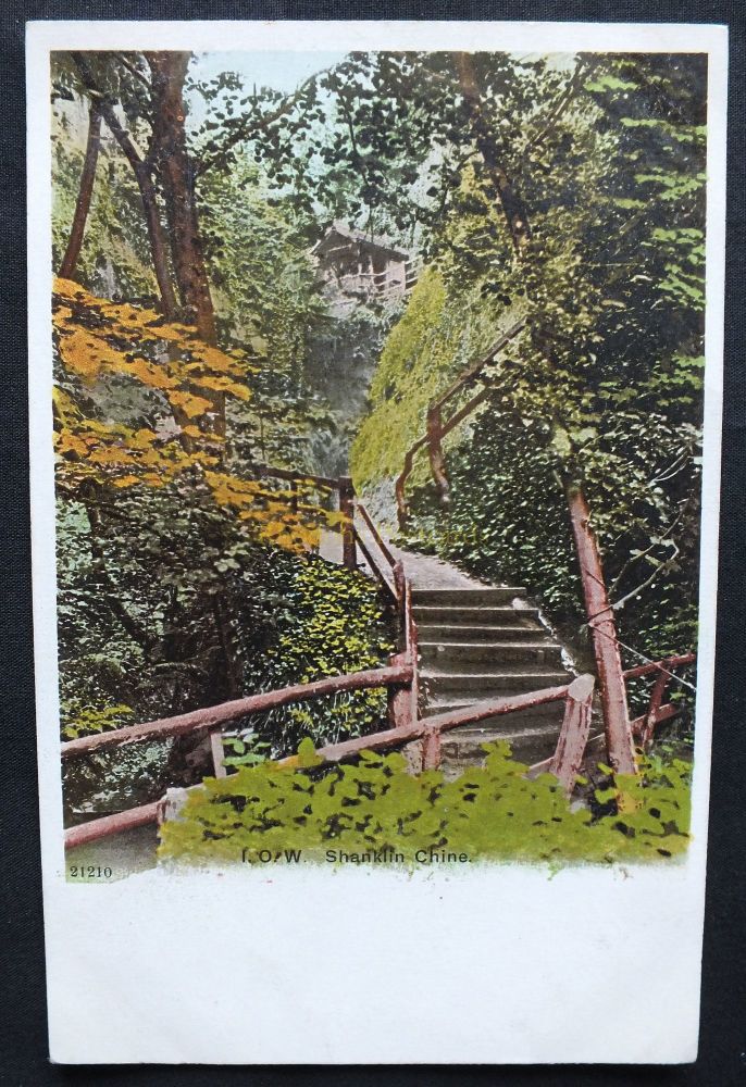 Isle of Wight - Shanklin Chine - Early 1900s Colour Tinted Photo Postcard