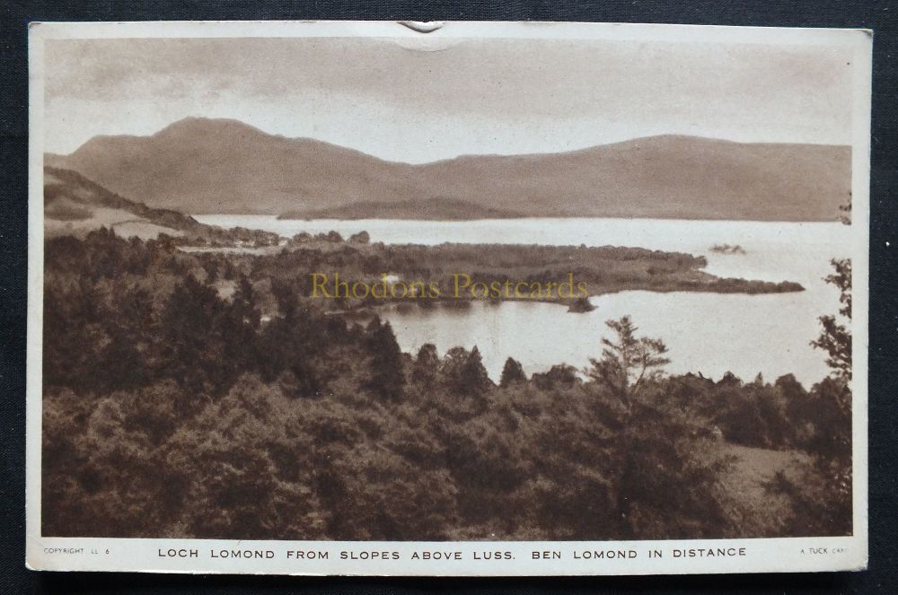 Scotland - Loch Lomond From Slopes Above Luss - Ben Lomond In Distance - Tucks Postcard