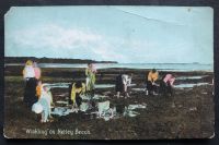 Shurreys Publications Advertising Postcards - Winkling On Netley Beach Hampshire