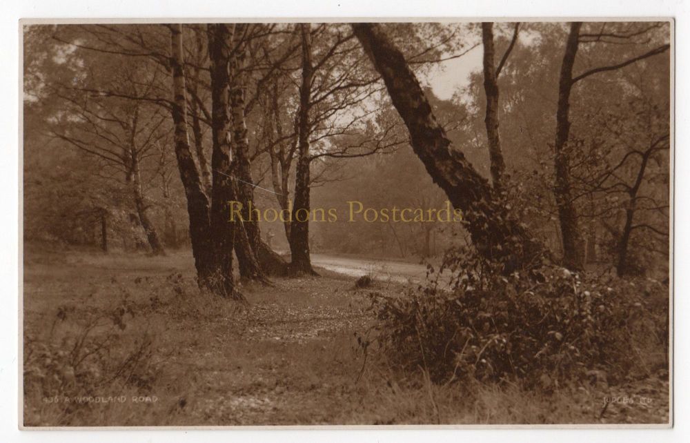 A Woodland Road #436 - Judges Ltd Hastings Postcard