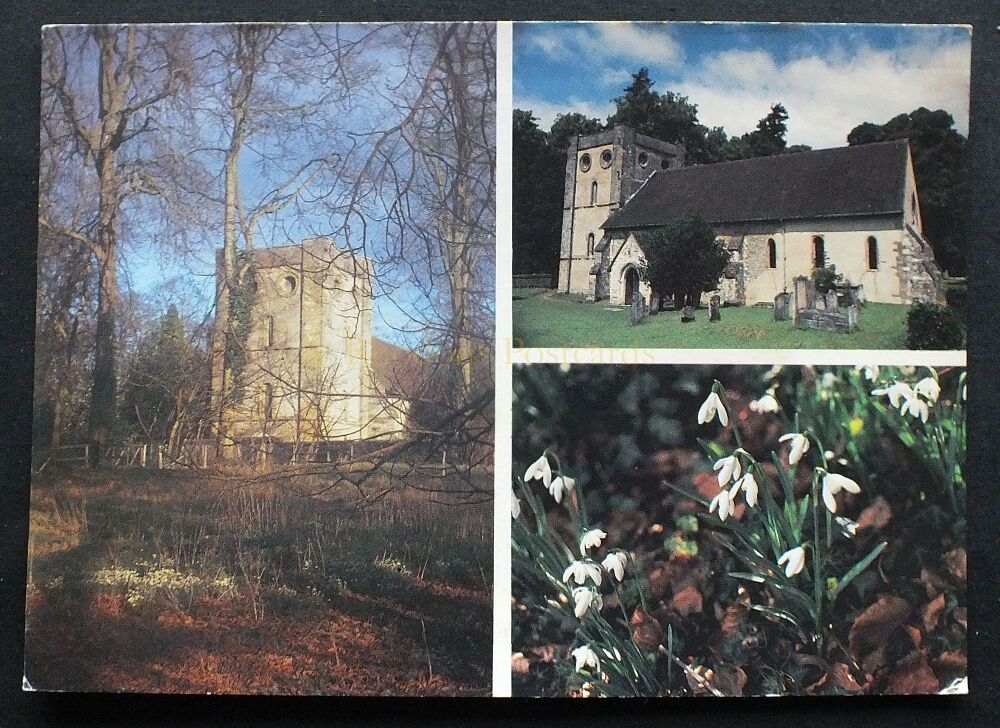 Our Lady Of Warnford Church And Warnford Snowdrops, Hampshire Multiview Postcard