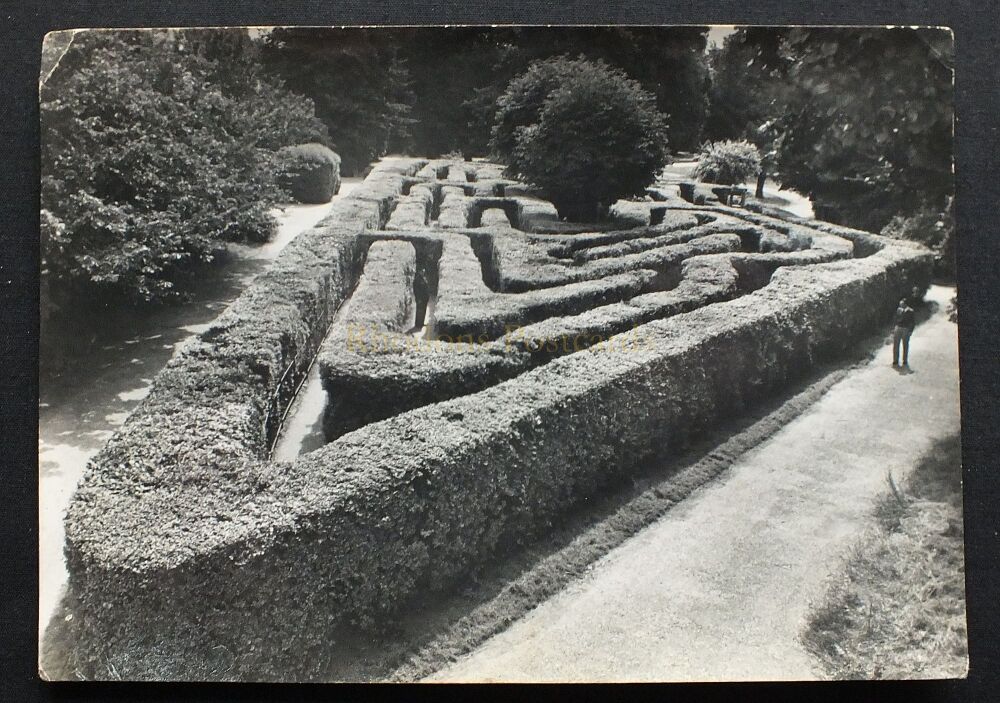 The Maze, Hampton Court Palace, Middlesex-Vintage B&W Postcard