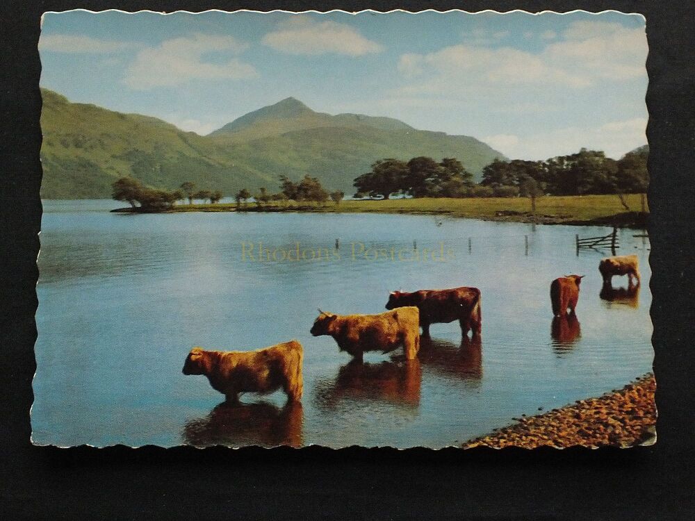 Loch Lomond and Ben Lomond From Inveruglas-Valentines Postcard
