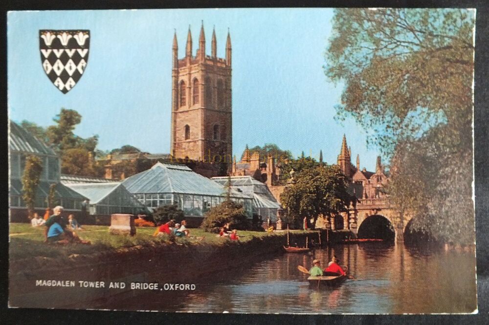 Magdalen Tower And Bridge Oxford-Salmon Cameracolour Postcard