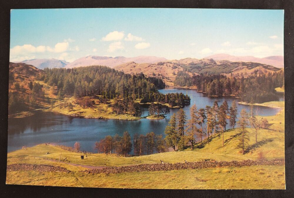 Tarn Hows English Lake District-1970s Photo Precision Ltd Postcard