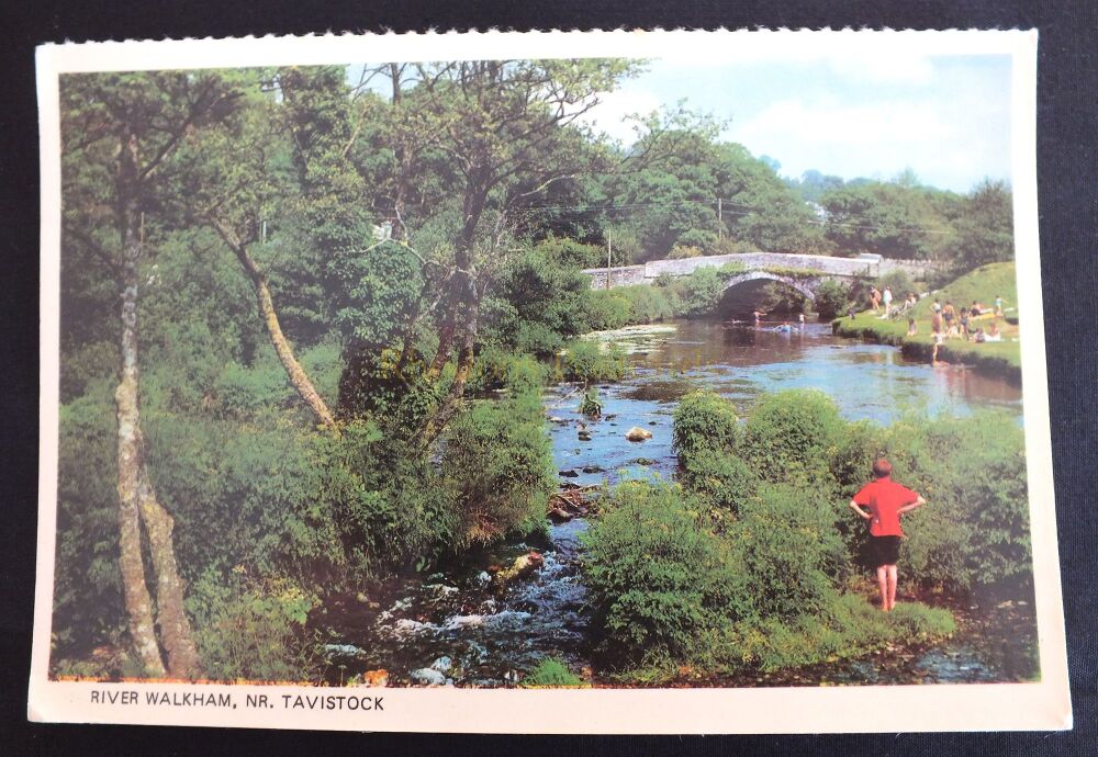 River Walkham Near Tavistock Devon-1970s Colour Photo Postcard