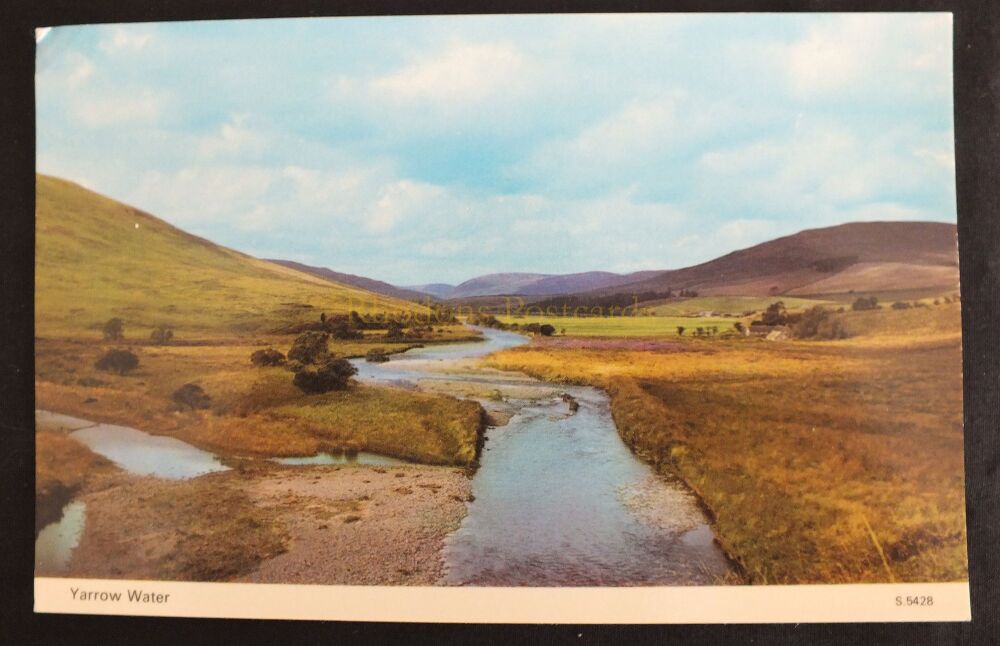 Yarrow Water Selkirkshire  Scottish Borders-Colour Photo Postcard