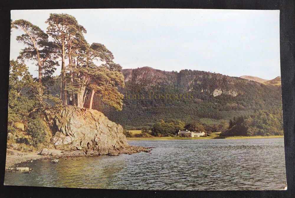 Friars Crag Derwentwater Cumbria-Colour Photo Postcard