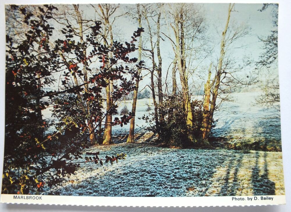 Marlbrook Worcestershire-Colour Photo Postcard