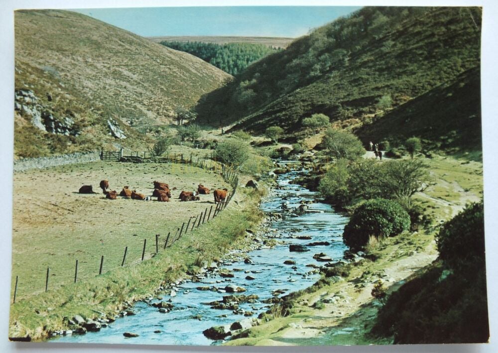 Badgeworthy Water Above Lorna Doone Farm Malmsmead Devon-Colour Photo Postcard