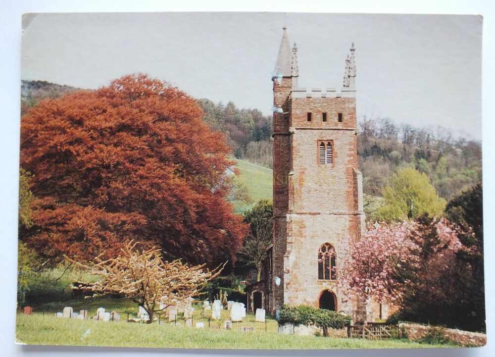 The Church of St Thomas of Canterbury Cothelstone Taunton Somerset-Postcard