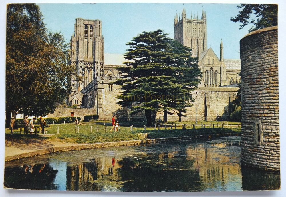 Wells Cathedral Somerset-Bishops Palace Moat-Colour Photo Postcard
