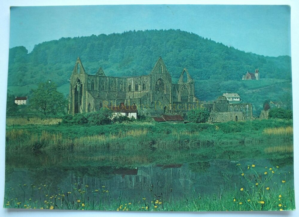 Tintern Abbey Gwent-Colour Photo Postcard View From Across River Wye