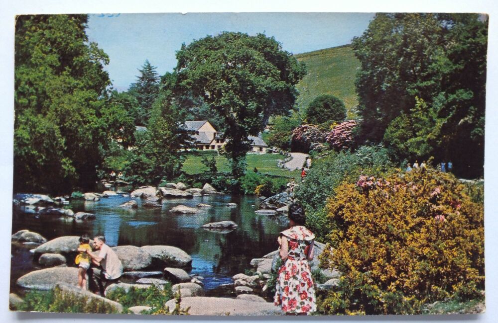 Dartmeet, Dartmoor-1960s Devon Landscape Postcard