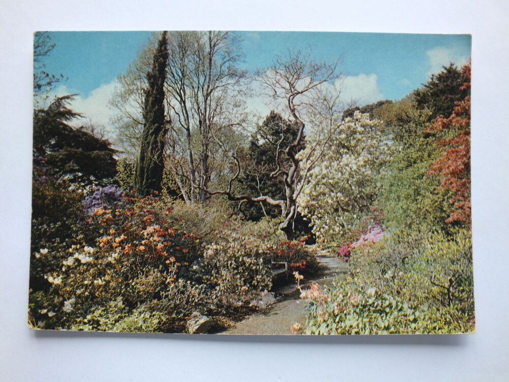 North Garden Bodnant Denbighshire-Colour Photo Postcard