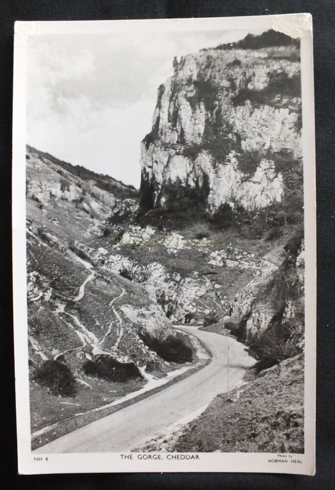 The Gorge Cheddar Somerset-Norman Heal Photo-Tucks RP Postcard