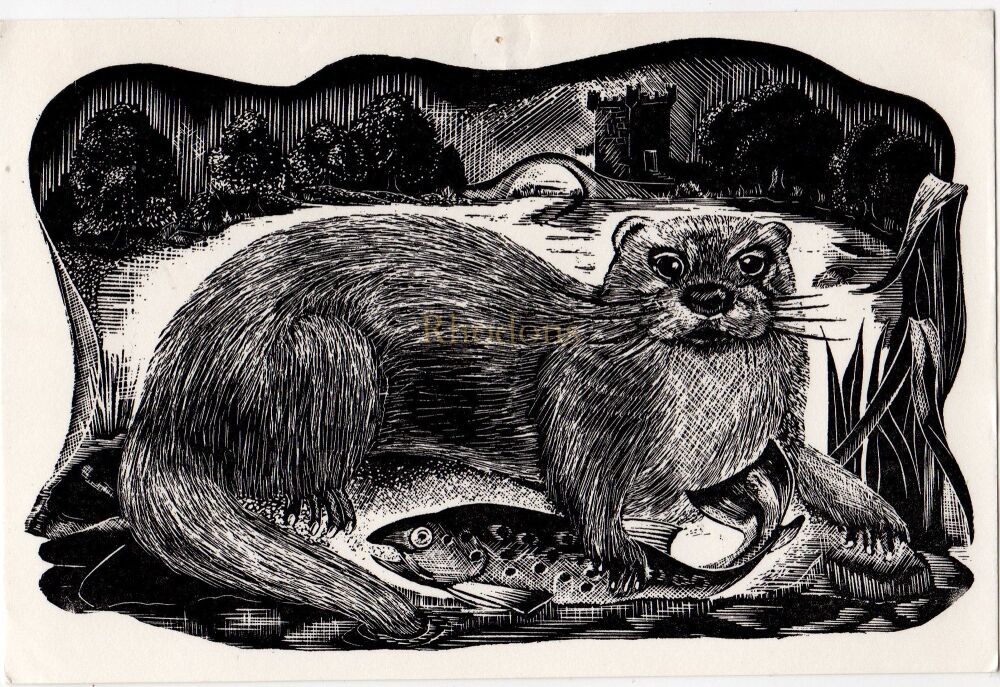 The Otter-1970s Woodcut Illustration Postcard By Derek Riley