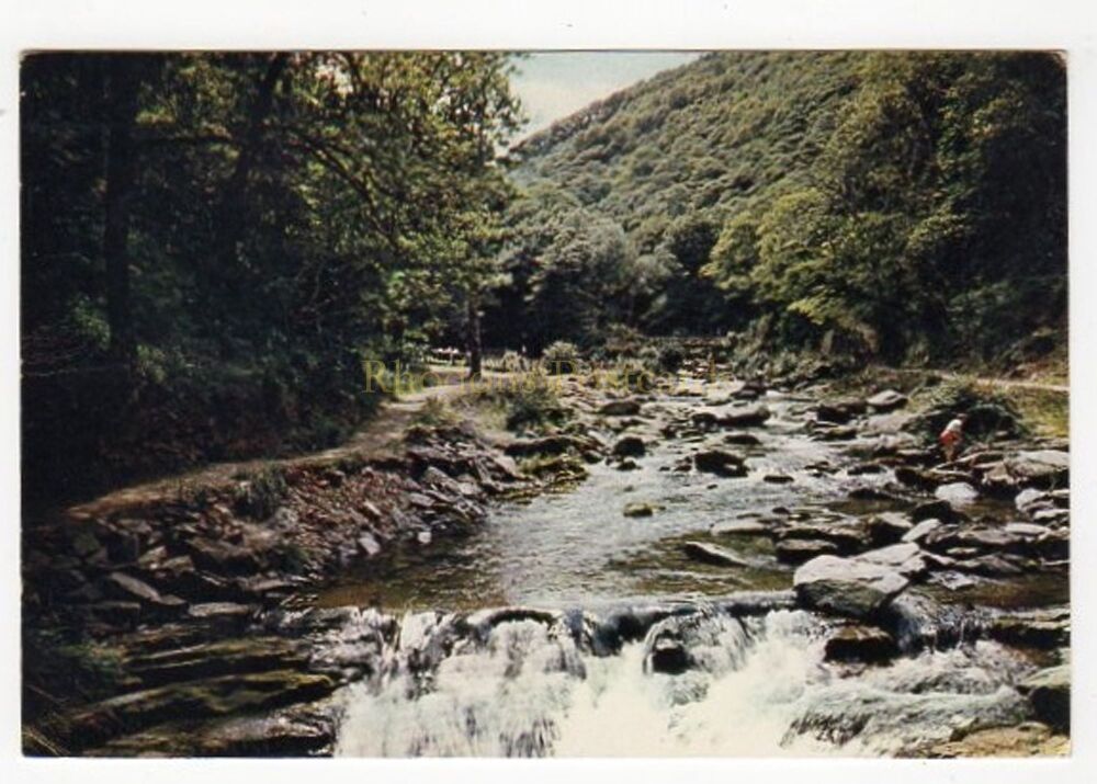 Watersmeet Valley, North Devon-J Arthur Dixon Postcard