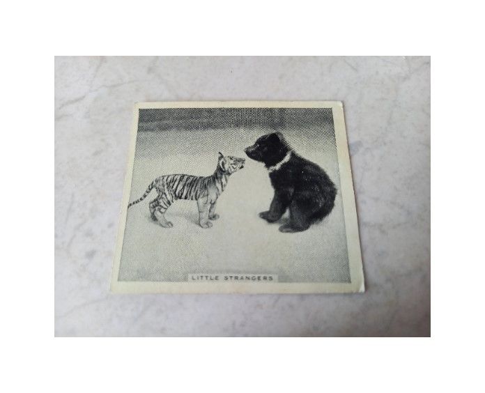 Godfrey Phillips De Reszke Cigarettes Card- Little Strangers-No 36 From 'Ou