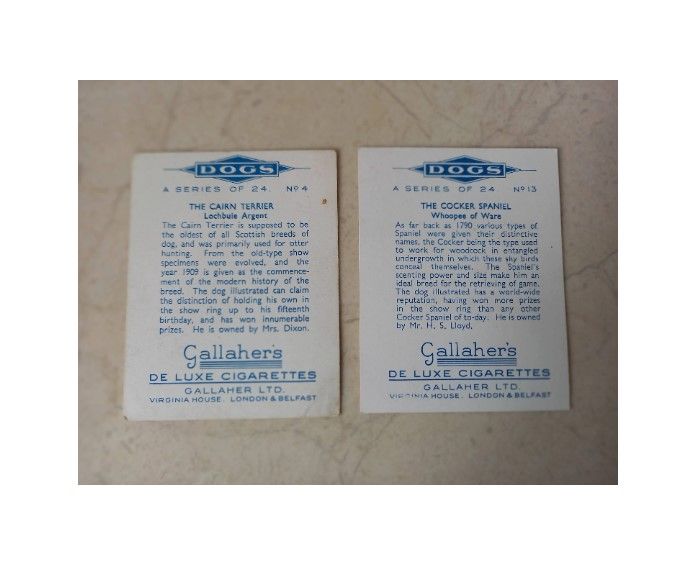 Gallaher Cigarette Cards - Dogs Series-The Cairn Terrier (No 4) + Cocker Spaniel (No 13)- Large Format Cards