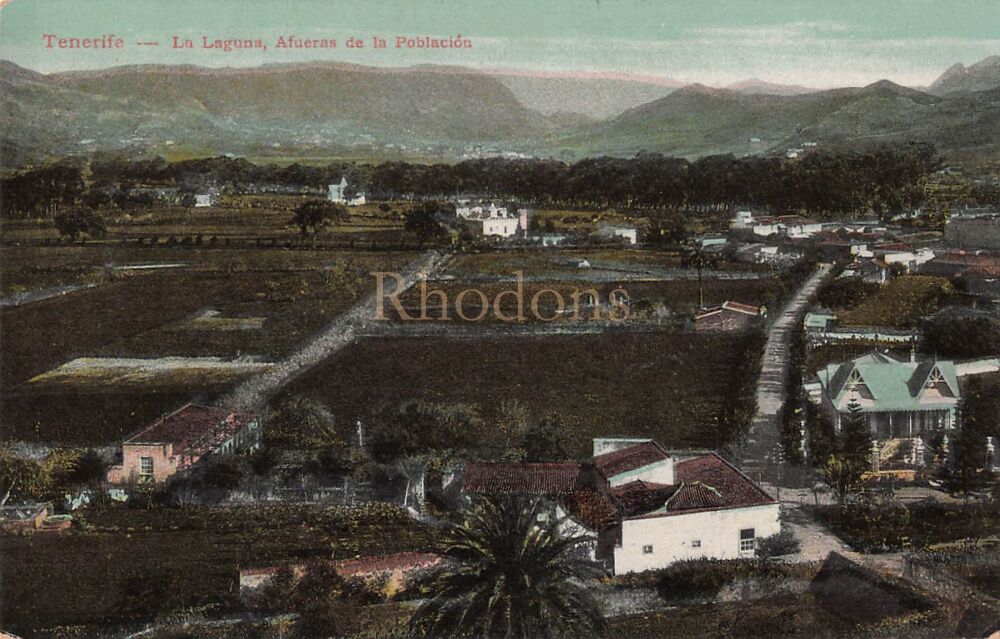 Tenerife - La Laguna - Afueras de la Poblacion - Early 1900s Postcard