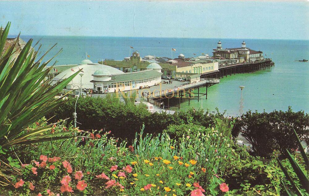 The Pier Hastings Sussex-1970s Colour Photo Postcard
