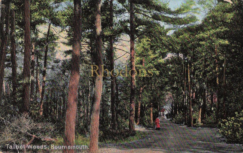 Genealogy Research Postcard - Mrs B DIX, Leigh on Sea Essex 1909 | Tabot Woods Bournemouth