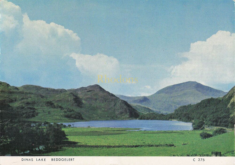 Dina Lake, Beddgelert- Circa 1970s Judges Postcard