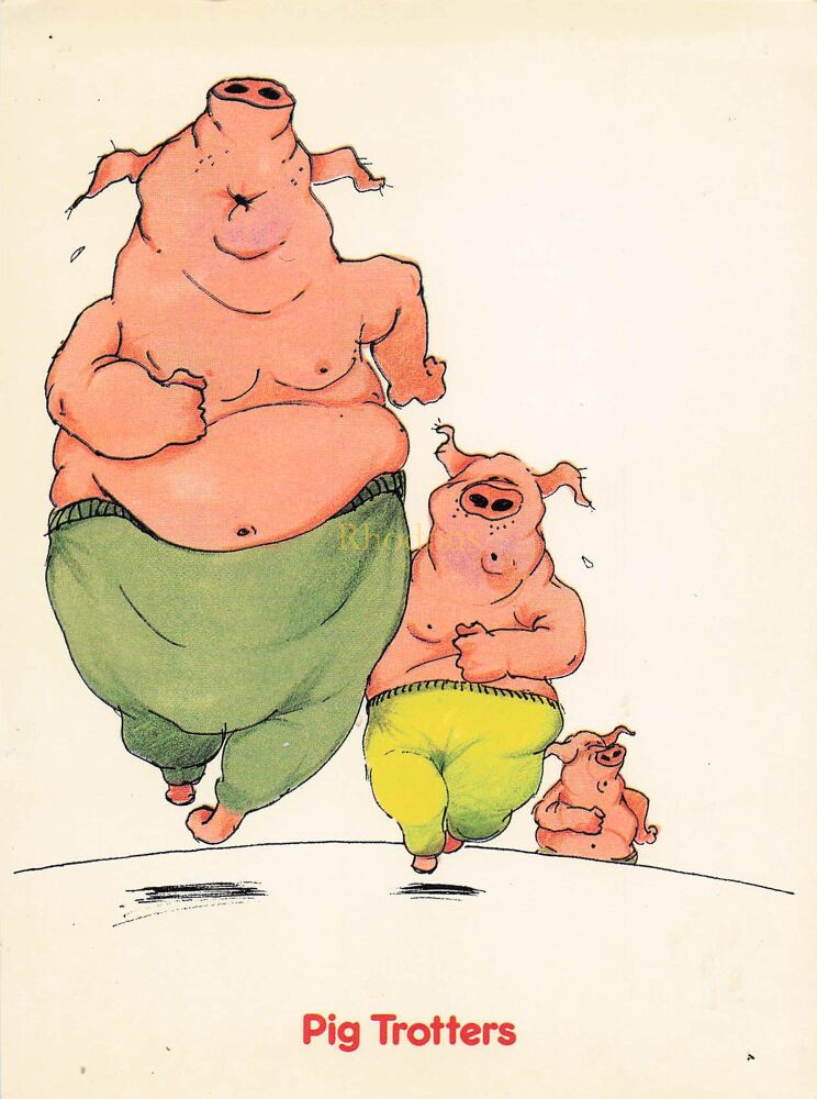 Pigs - Pig Trotters- Circa 1980s Vintage Cartoon Postcard