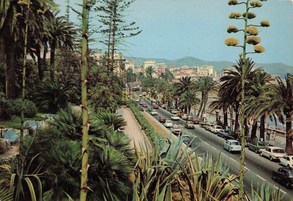 San Remo Riviera Del Fiori Colour Photo Postcard