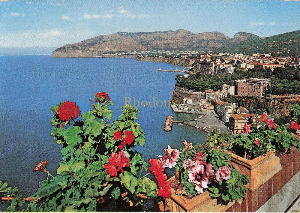 Sorrento, Italy - Panorama and Cape Scutari Photo Postcard