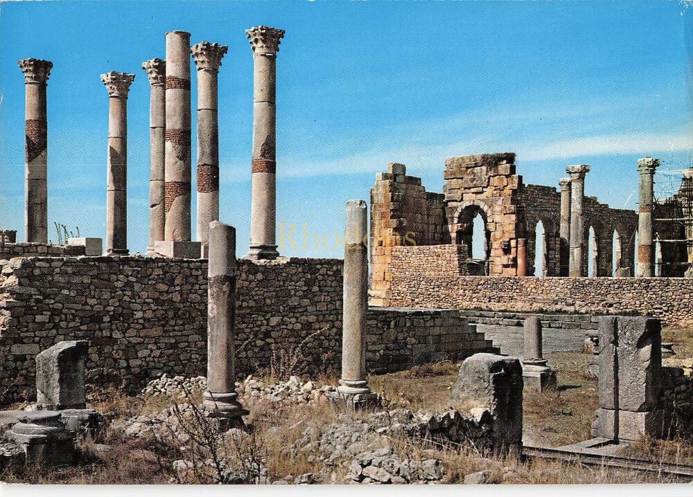 Volubilis, Morocco - La Basilica, Roman Remains - Colour Photo Postcard