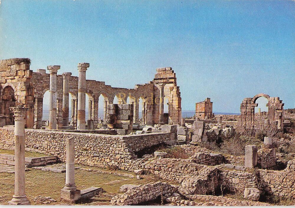 Volubilis, Morocco - Judicial Basilica, Roman Remains - Colour Photo Postcard