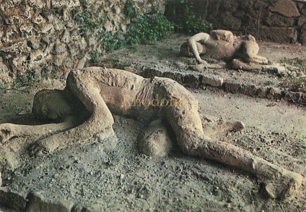 Pompei Excavations Italy - Cast of Skeletons - Colour Photo Postcard