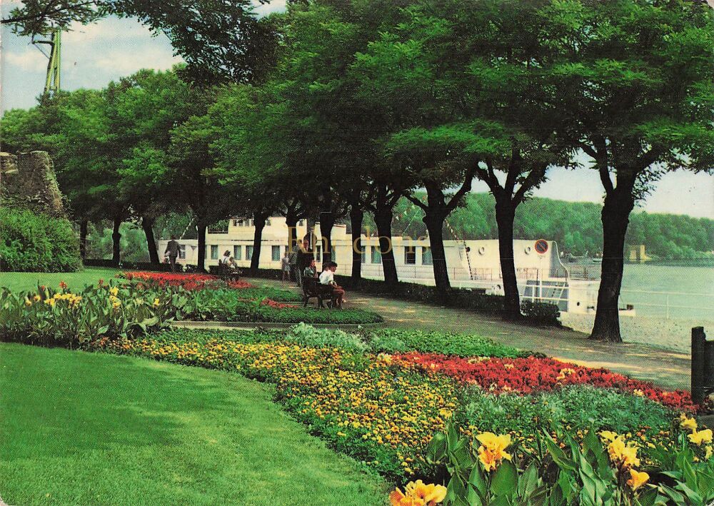 Frankfurt Am Main-Hochst, Germany - Mainpromenade - 1970s Colour Photo Post