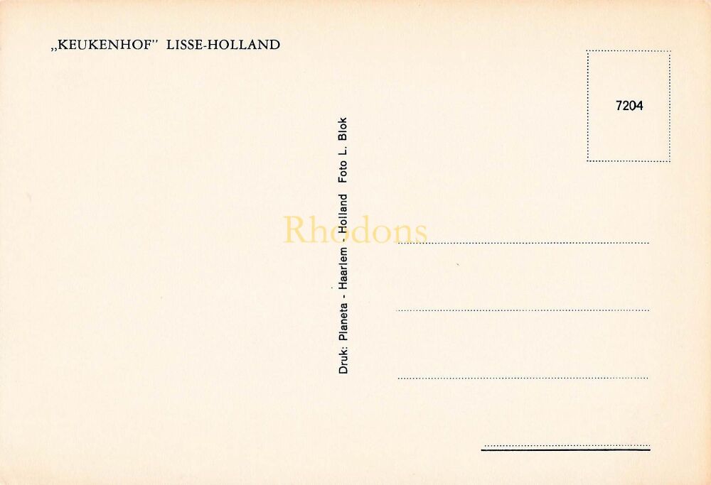 Keukenhof Lisse Holland - Tulips (#1) - Photo Postcard