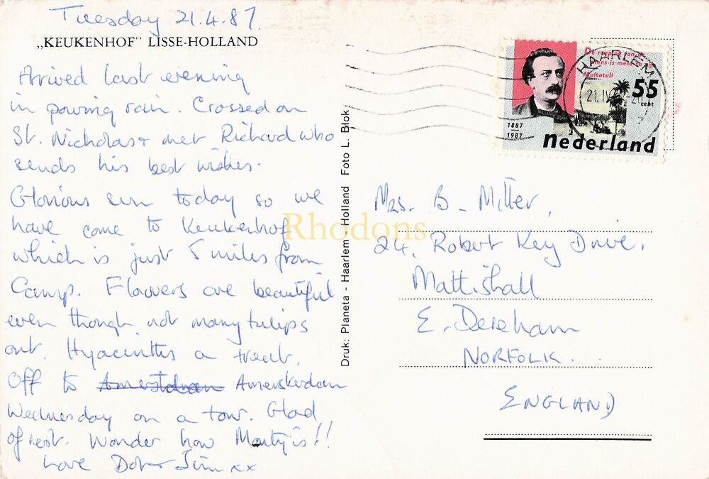 Keukenhof Lisse Holland - Tulips (#3) - Photo Postcard