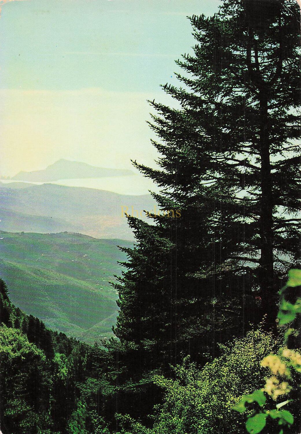 Monte Faito, Italy - AAST Photo Postcard