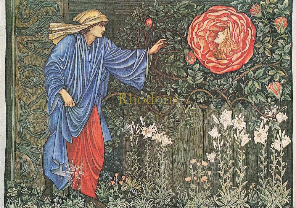 Heart Of The Rose - Sir Edward Coley Burne-Jones- Medici Society Art Postca