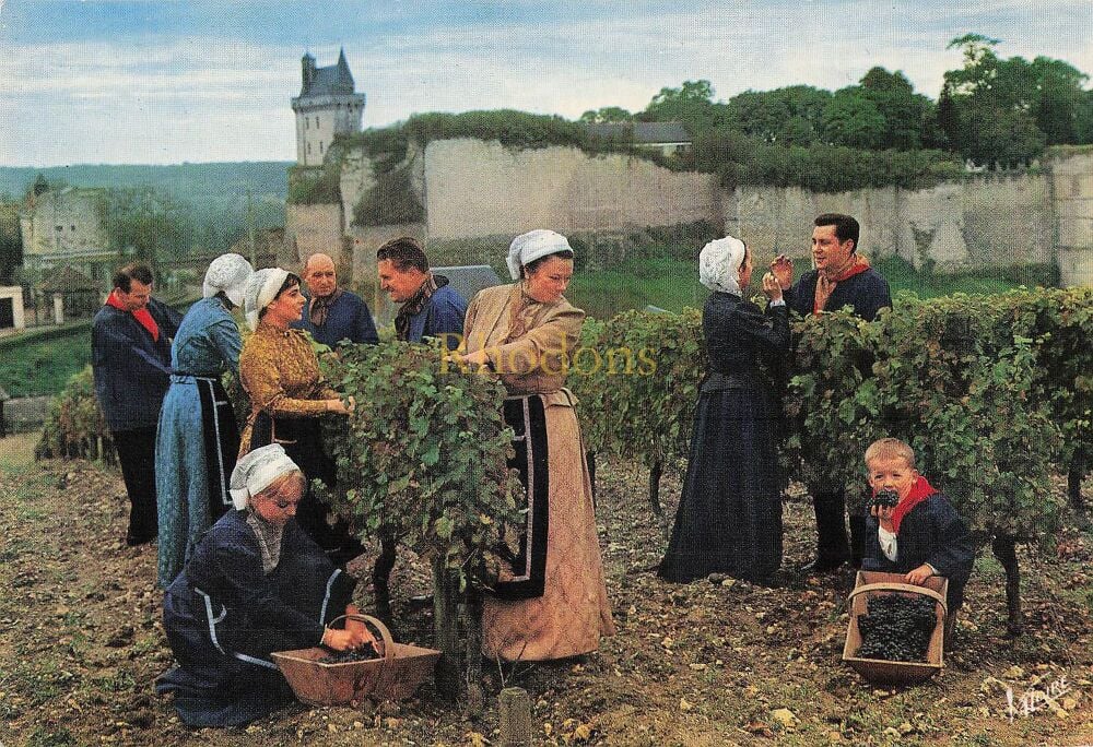 Le Pays Tourangeau, France - Folklore Group Photo Postcard