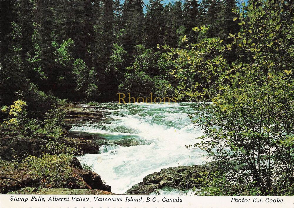 Central Vancouver Island, BC, Canada - Stamp Falls, Alberni Valley - 1980s Photo Postcard