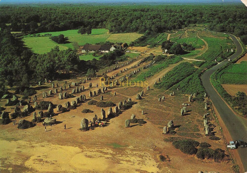 Carnac, Morbihan, France - Les Alignements de Kermario Photo Postcard