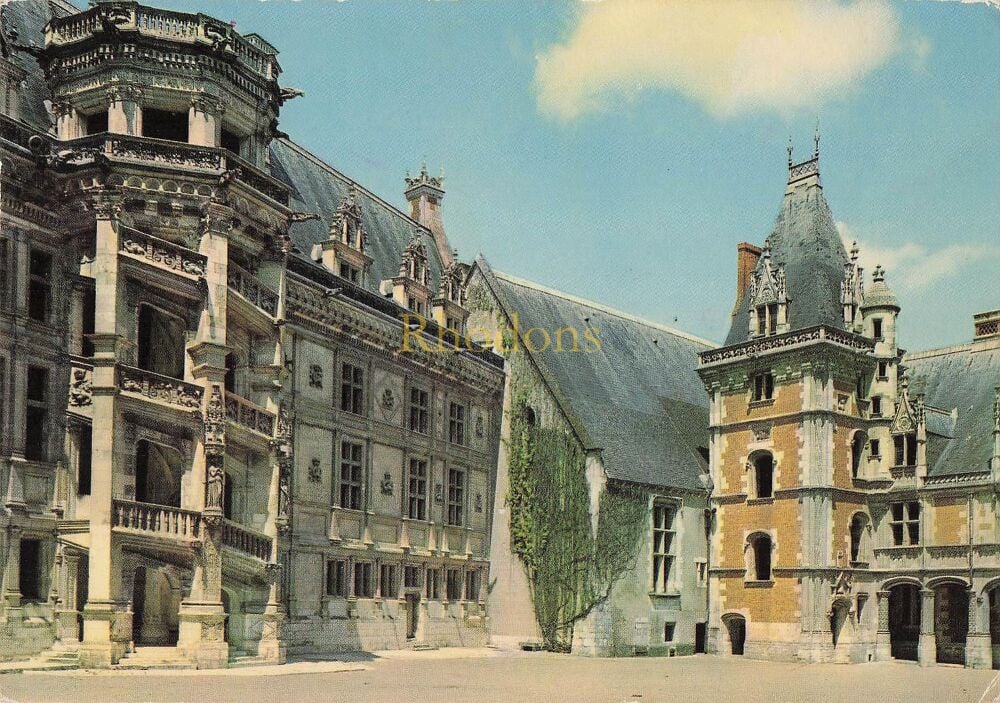 Blois, Loire et Cher, France-Chateau- Photo Postcard