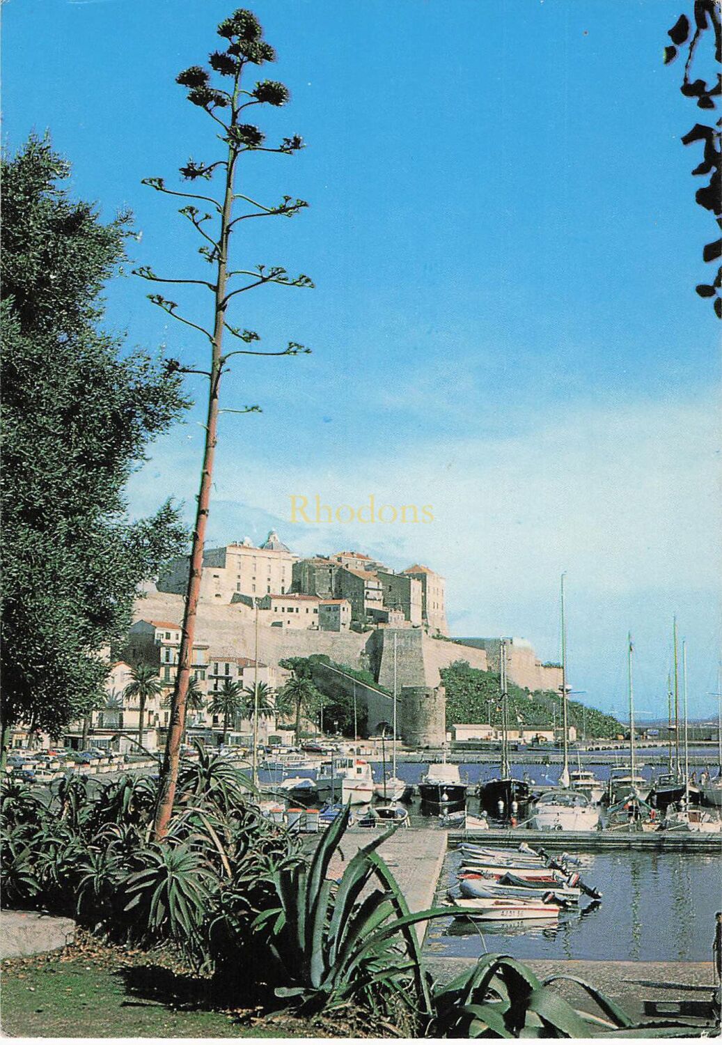 Calvi, Corse Ile D'Amour, France - Port and Citadelle - 1980s Photo Postcar