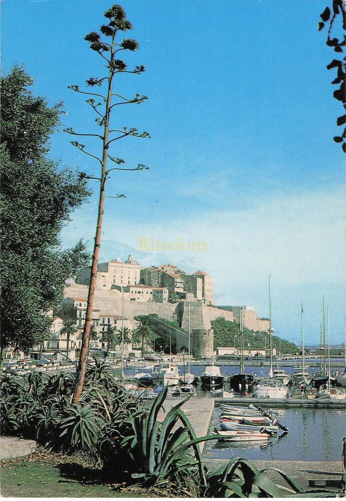 Calvi, Corse Ile D'Amour, France - Port and Citadelle - 1980s Photo Postcard