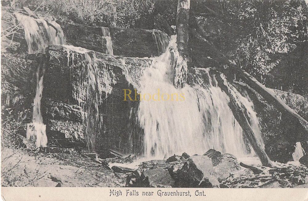 Genealogy Postcard - Mrs SHARMAN, The Crescent, Norwich - Early 1900s