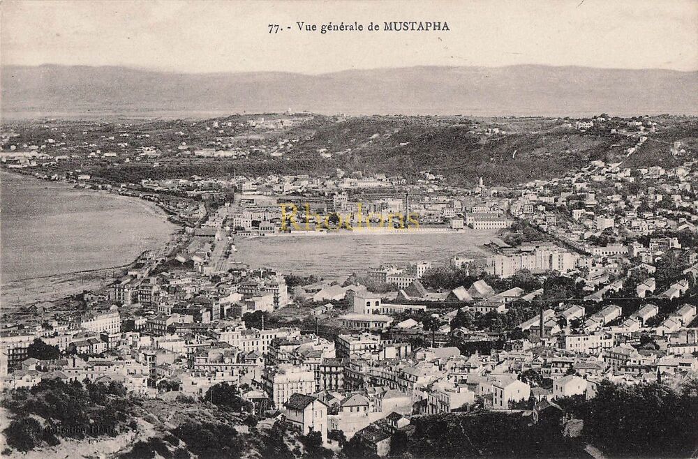 Mustapha-Early 1900s General View Postcard