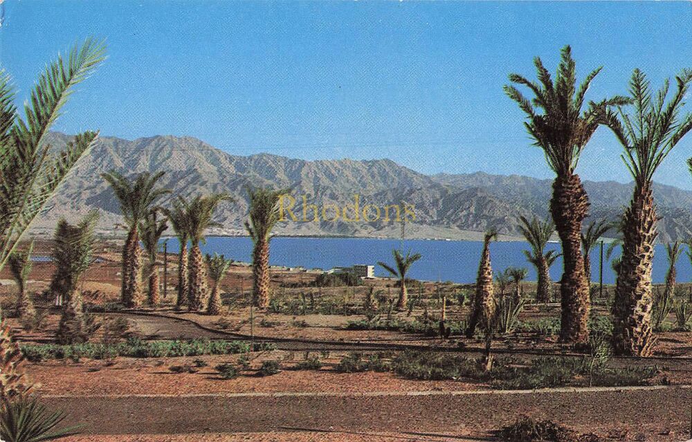 Eilat, Israel-View to the Bay With Mountains of Edom-Colour Photo View Postcard